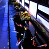 津和野の鯉