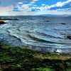 冬の野間海岸