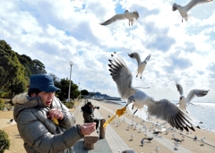 カモメに盗られた人