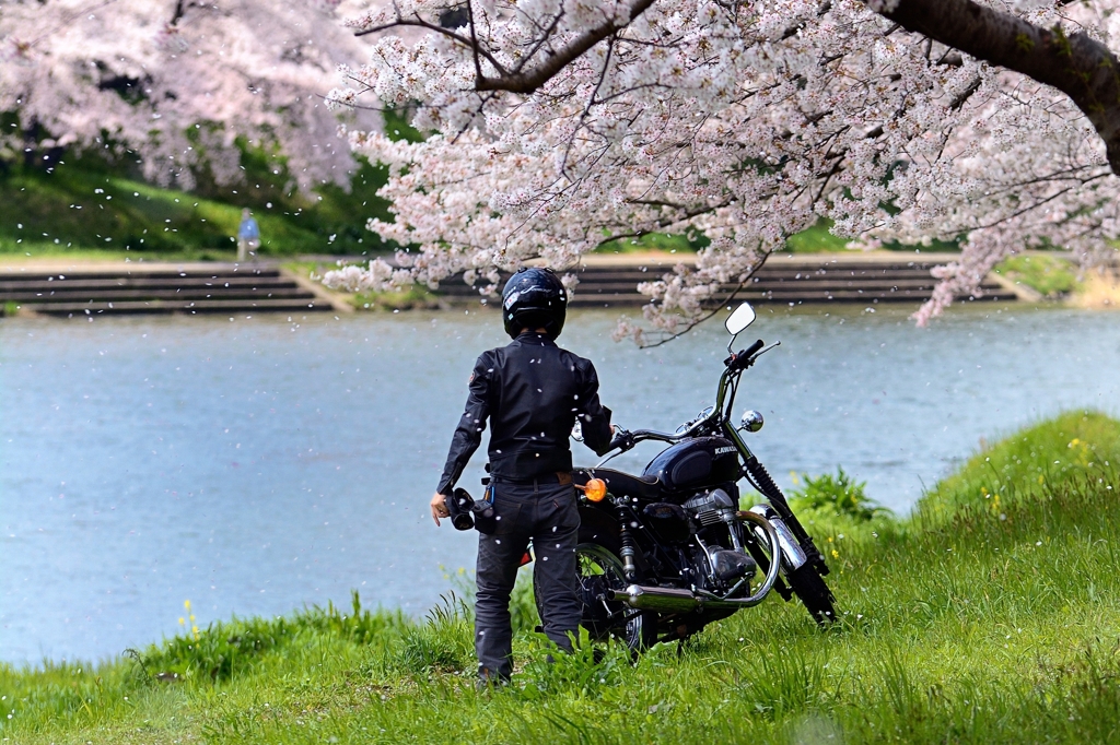 ライダースーツに花が散る