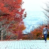 散歩道は紅葉坂