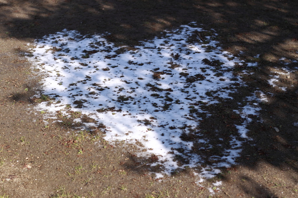 ハートの残雪・・・・