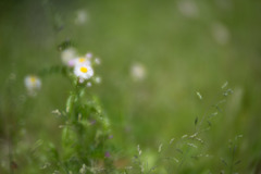 DSC04520