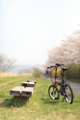 0F3A7937