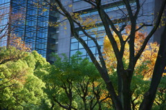 DSC01160