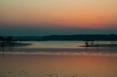 IMG_5595