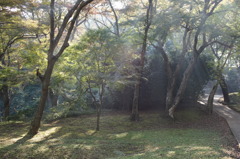 DSC00815