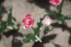 DSC04326