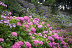 DSC04803