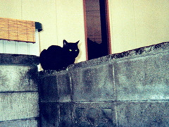 もう動かないぞ