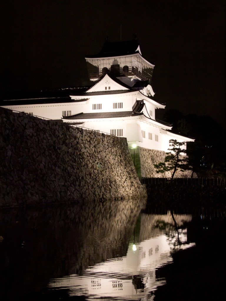 富山城の夜景