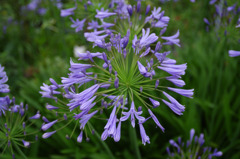 IMGP0180s