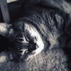 nap time!