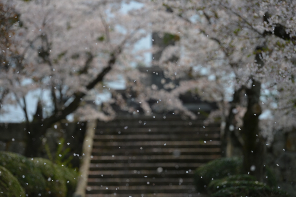 また来年
