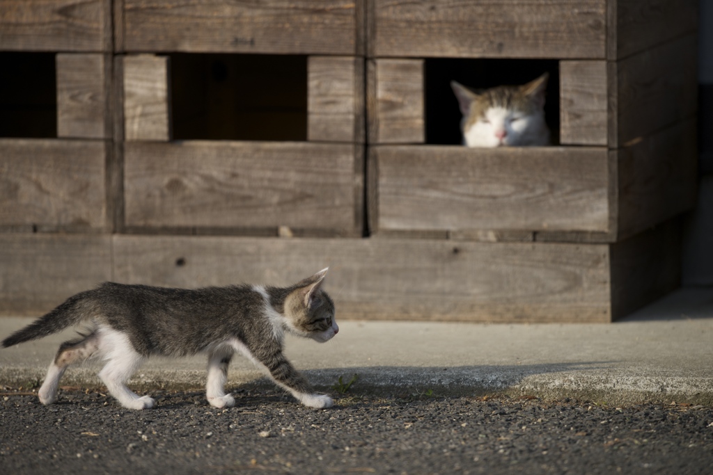 ちょっと前を失礼
