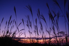 高原の夕暮れ