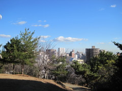 丘の上から見える街