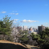 丘の上から見える街
