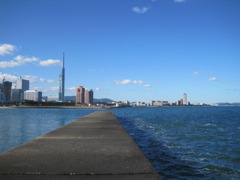 防波堤
