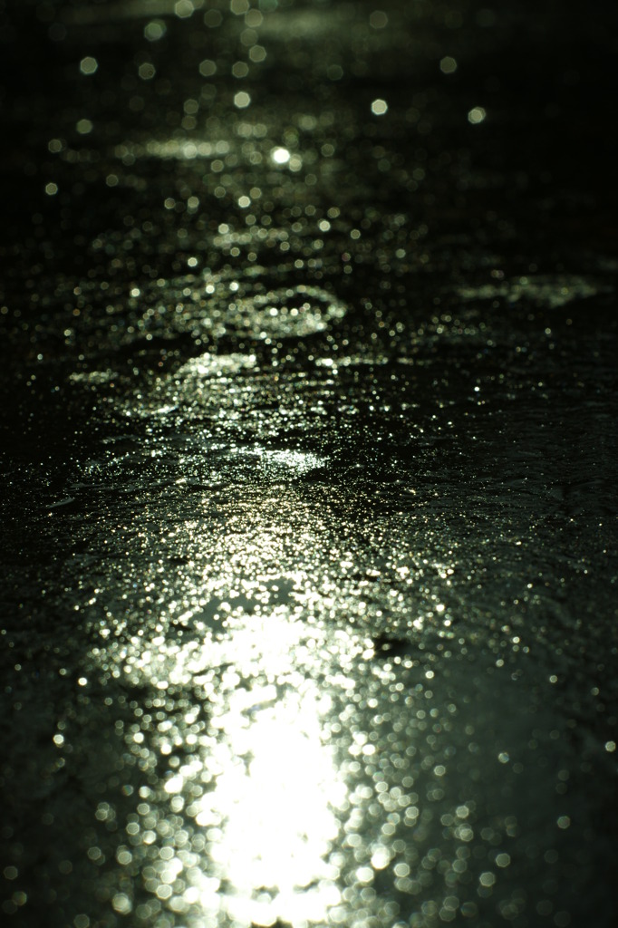 雨上がる　朝日が照らす　002