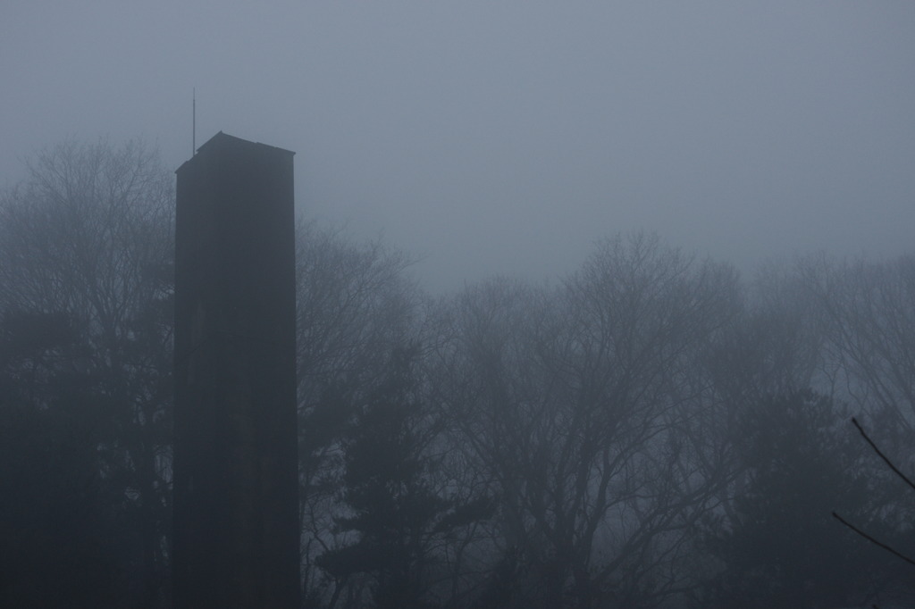 霧の中　001