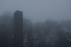 霧の中　001