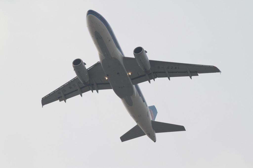 飛行機