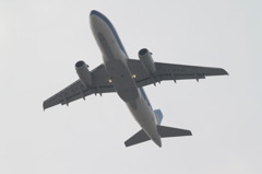 飛行機
