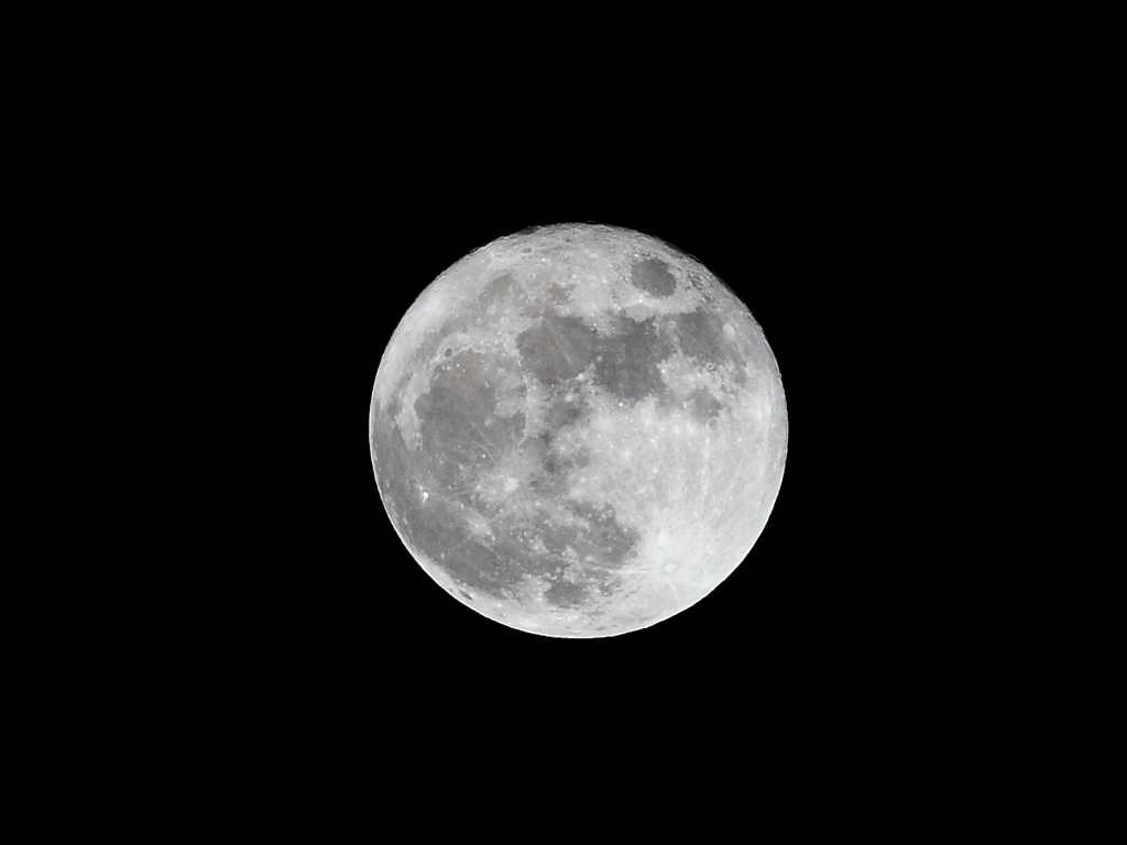 ３月３０日　bluemoon