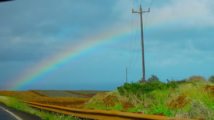 rainbow in a field