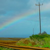 rainbow in a field