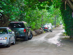 A path of Pupukea
