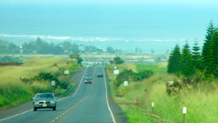 A road to Haleiwa