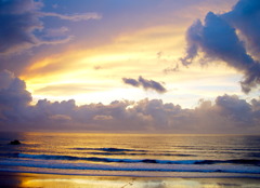Golden morning