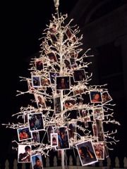 Photo Tree