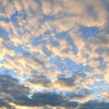 morning glowly
