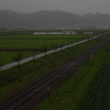 霧雨の朝