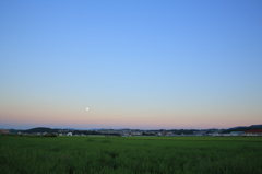 名月のある風景