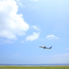 Summer Flight