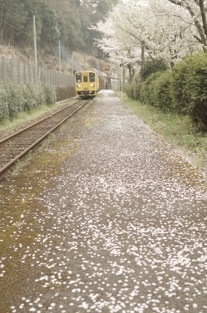 Platform