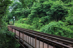 green tunnel