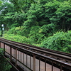 green tunnel