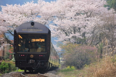 平成の春をくぐる