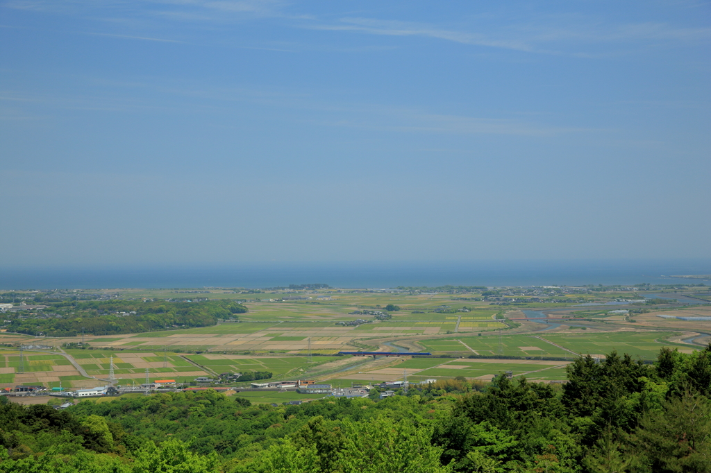 宇佐平野を望む