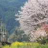 県境の駅