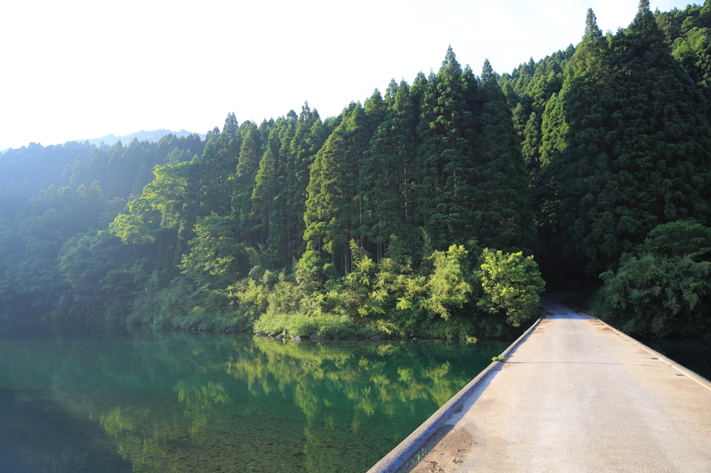 清流の朝