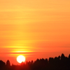 森に沈む夕日