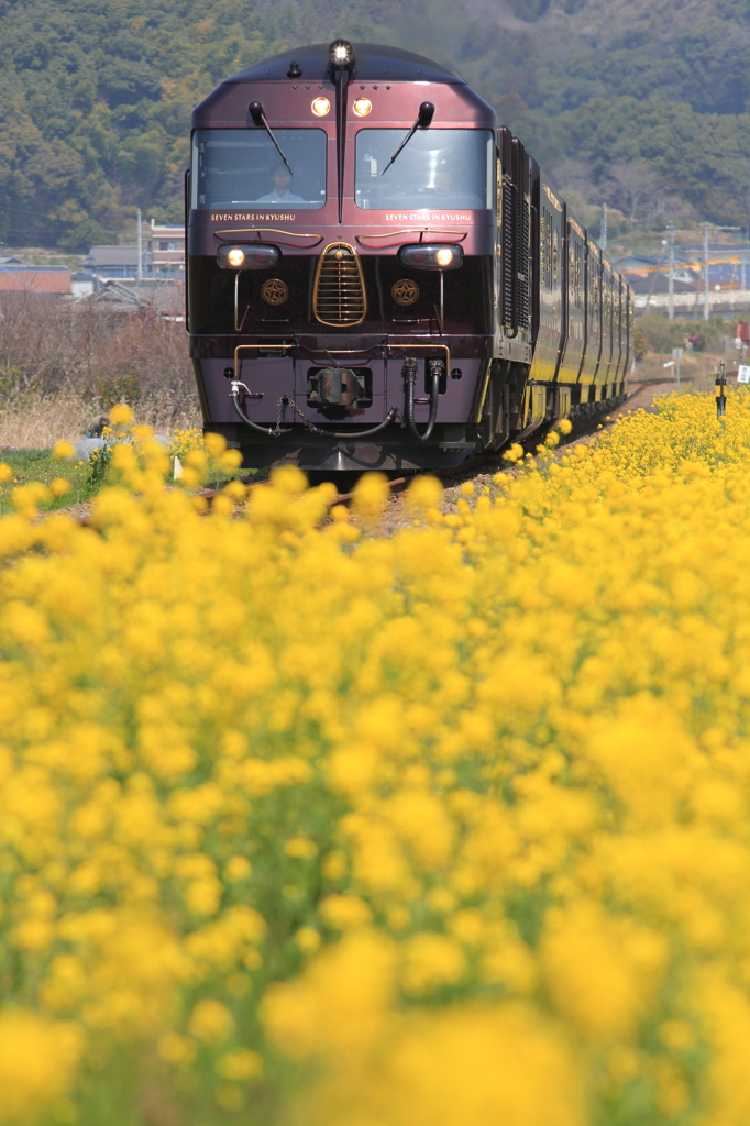Yellow Line