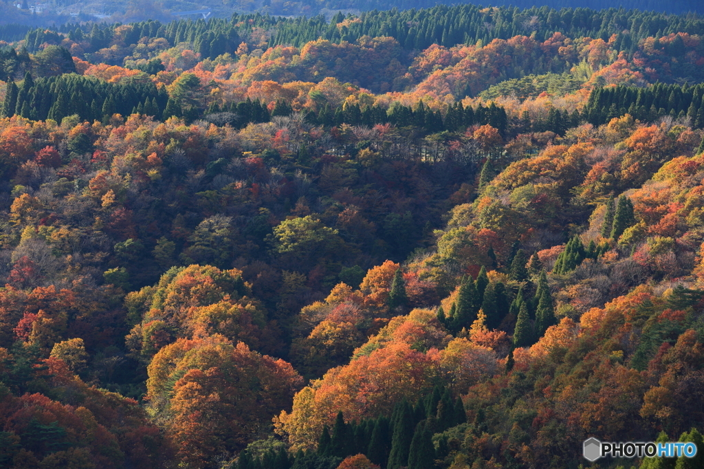 斜光の水分峠