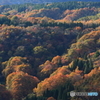 斜光の水分峠